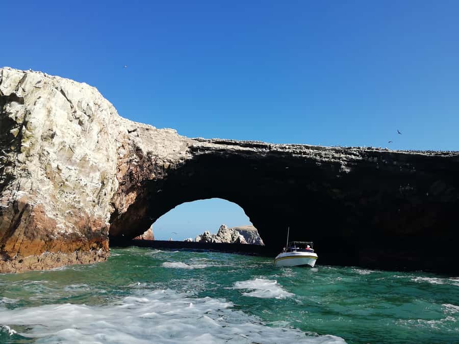 Lima: Ballestas Islands, Winery and Nazca Lines Private Tour - Who should book this Lima to Nazca day?