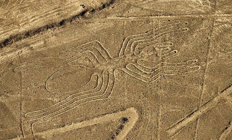 Lima: Huacachina, Winery, & Nazca Lines from Pisco Airport - Huacachina Oasis: the green break in the desert
