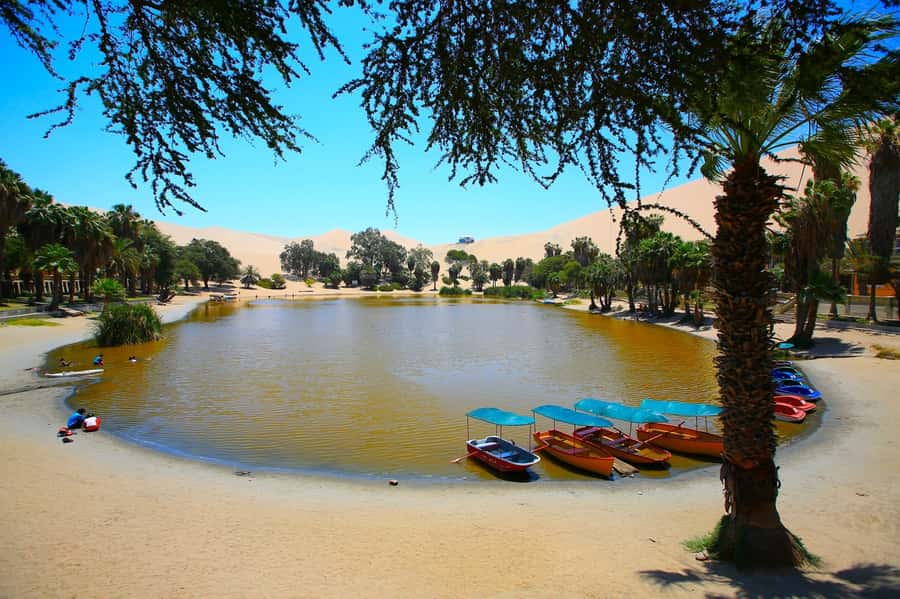 Lima: Huacachina, Winery, & Nazca Lines from Pisco Airport - Tips to pack and plan so the day feels easier