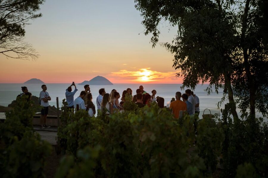 LIPARI WINERY - SUNSET WINE TASTING - The short winery tour and vineyard walk (and what to actually watch for)