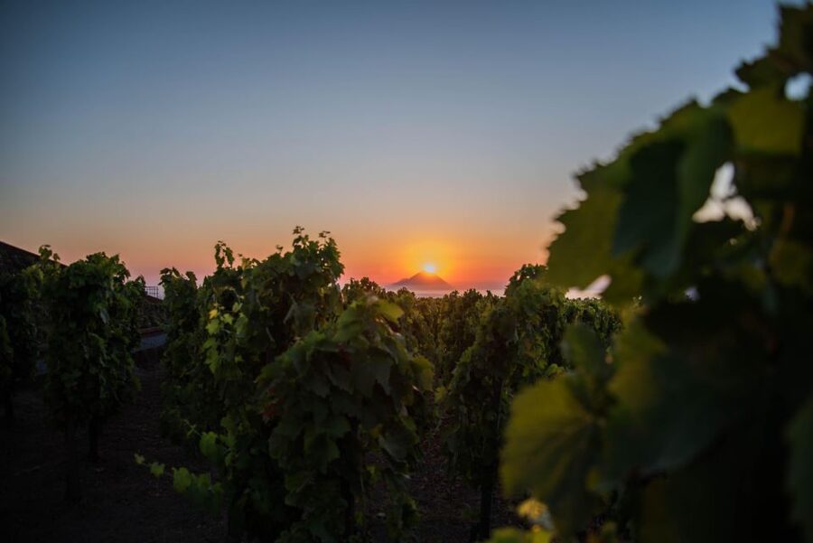 LIPARI WINERY - SUNSET WINE TASTING - Your four-wine tasting: how the experience keeps you moving