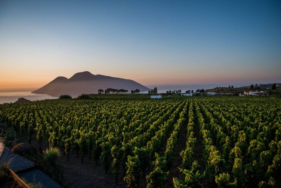 LIPARI WINERY - SUNSET WINE TASTING - Terrace pours with local food: why the pairing makes the wines easier to like