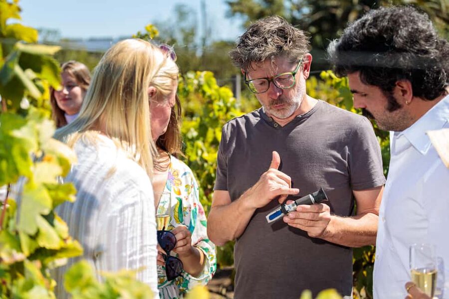 Lisbon: Carcavelos Vineyard Tour and Wine Tasting - Carcavelos Wine 101: Fortified Styles and Royal-Court Origins