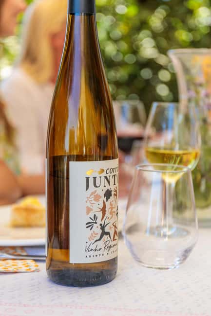 Lisbon: Carcavelos Vineyard Tour and Wine Tasting - Your Guided Walk Through the Sun-Soaked Vineyard and Cellar
