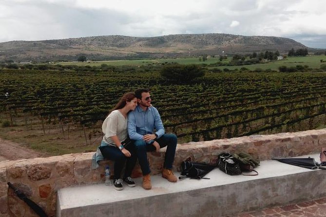 Local Vineyard Tour & Wine Tasting at the Independence Valley - A short ride with a real vineyard rhythm