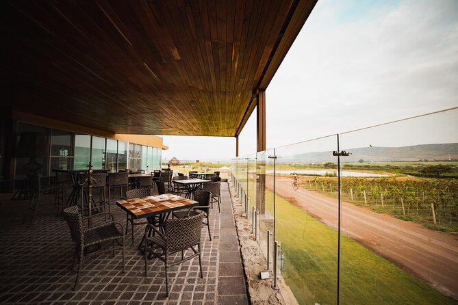 Local Vineyard Tour & Wine Tasting at the Independence Valley - Wine tasting packages: what you’ll actually sample