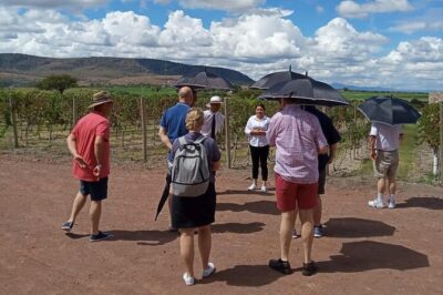 Local Vineyard Tour & Wine Tasting at the Independence Valley - Meet at Fábrica La Aurora and plan your timing smart