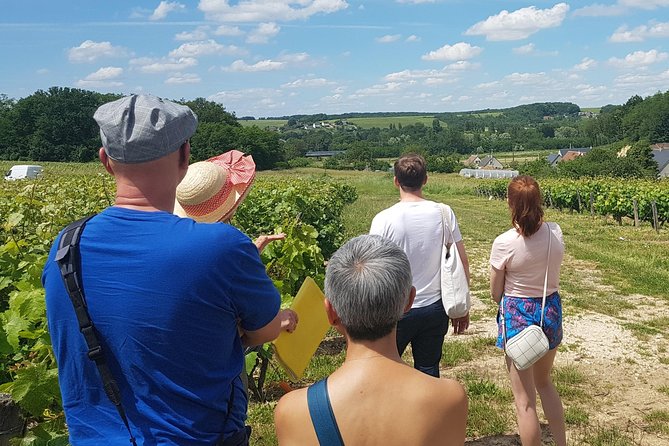 Loire Valley from Amboise : Azay le Rideau, Villandry, 2 Wineries - Amboise Wine Break: Touraine AOC Tasting Without a Big Detour