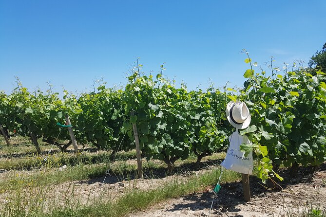 Loire Valley from Tours : Azay-le-Rideau, Villandry, 2 Wineries - Price and Value: What You’re Really Paying For