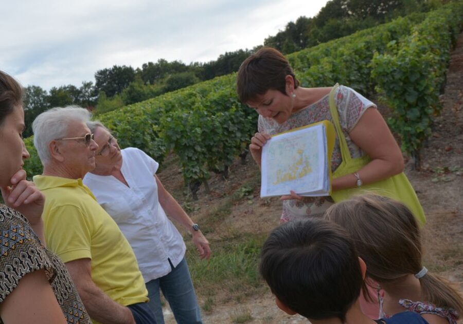 Loire Valley: Vouvray Vineyard Tour and Wine Tasting - From grapes to wine: harvest paths and pressing