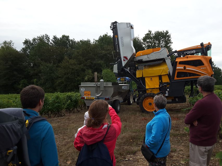 Loire Valley: Vouvray Vineyard Tour and Wine Tasting - Price and what $68 buys you in real value