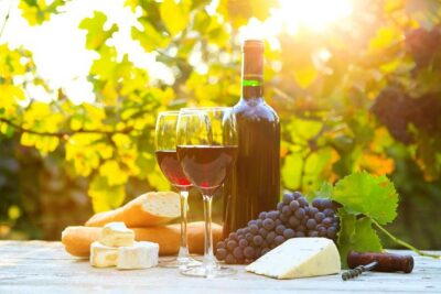 Long Island Winery Tour - Pickup and Timing: Where the Day Starts (and How to Plan)