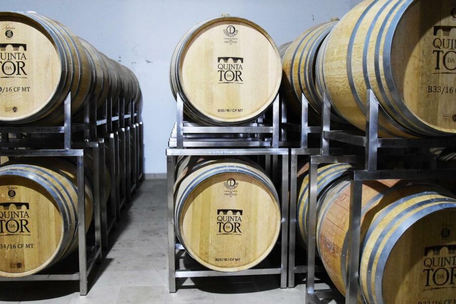 Loulé: Quinta da Tôr Winery Guided Tour and Wine Tasting - The infinity pool time: a real break between sips