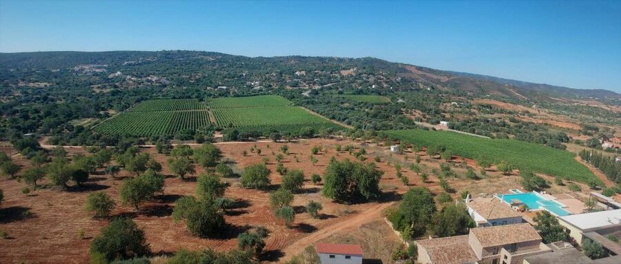 Loulé: Quinta da Tôr Winery Guided Tour and Wine Tasting - Price and value: why around $21 makes sense here