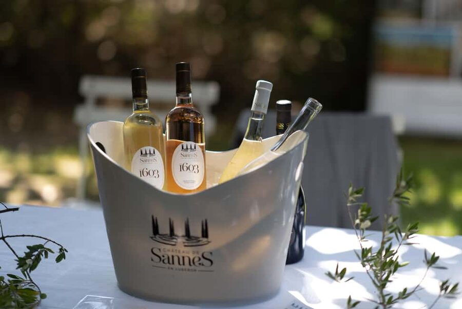 Luberon: Vineyard Tour and Wine Tasting - Your Start Point: Château de Sannes Boutique in the Luberon