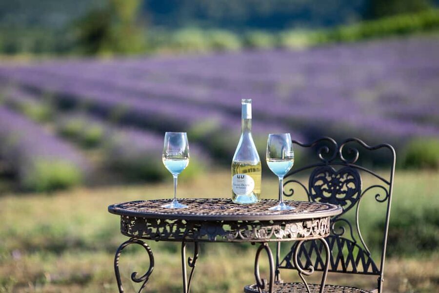 Luberon: Vineyard Tour and Wine Tasting - Terroir in Real Life: What Makes This Luberon Site Taste Different