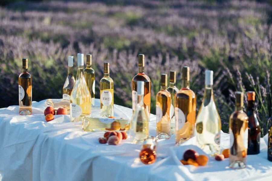Luberon: Vineyard Tour and Wine Tasting - Views, Walking, and Comfort: What to Bring (and Why)