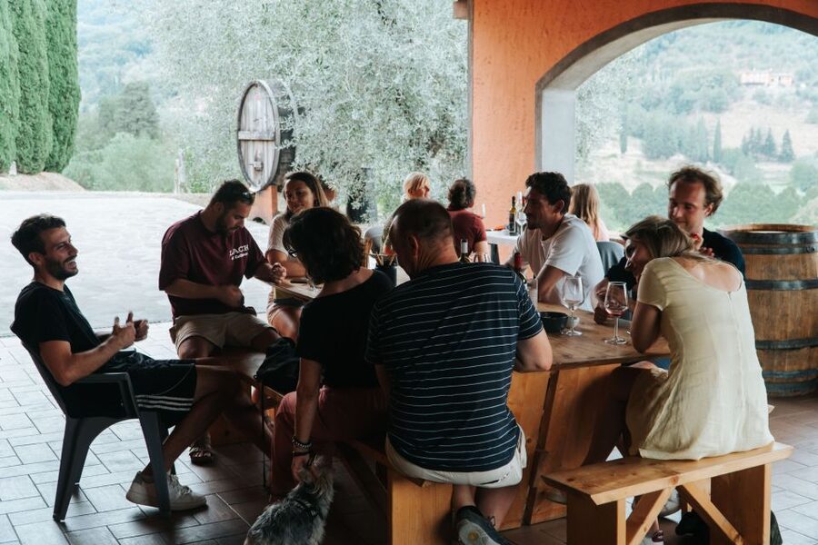 Lucca: Guided Winery Tour with Wine Tasting - Key things to know before you go