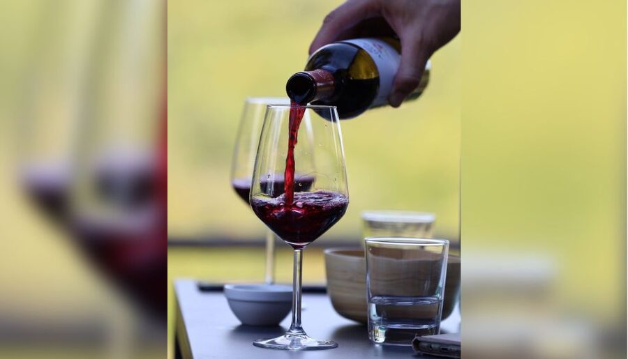 Lucca: Guided Winery Tour with Wine Tasting - Hilltop wine time outside Lucca (and why it works)