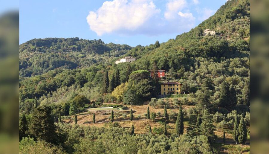 Lucca: Guided Winery Tour with Wine Tasting - Duration and pacing: 1.5 hours that won’t eat your day