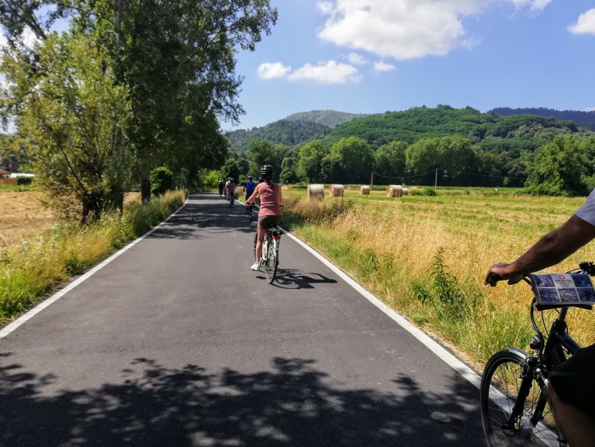 Lucca: Picnic Lunch at a Vineyard by Bike - Key things you’ll notice right away