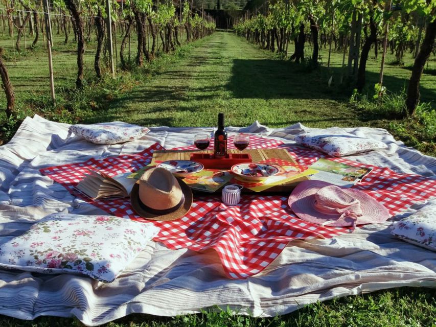 Lucca: Picnic Lunch at a Vineyard by Bike - The app route: how self-guided riding stays easy