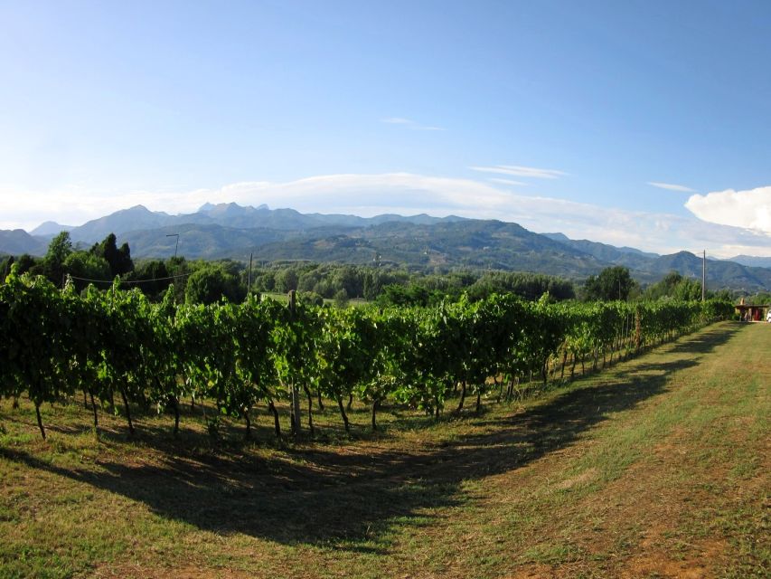 Lucca: Picnic Lunch at a Vineyard by Bike - Following the Serchio river: scenic, mostly traffic-free, and very rideable