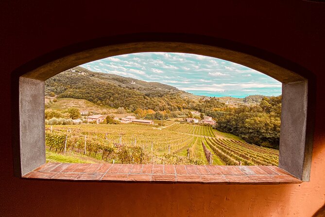 Lucca: Wine Tasting Experience - Tenuta Adamo Winery - Key things to know before you go