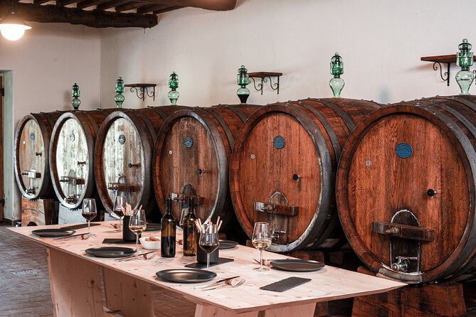Lucca: Wine Tasting Experience - Tenuta Adamo Winery - The cellar visit: what you’ll learn (and what it feels like in real life)