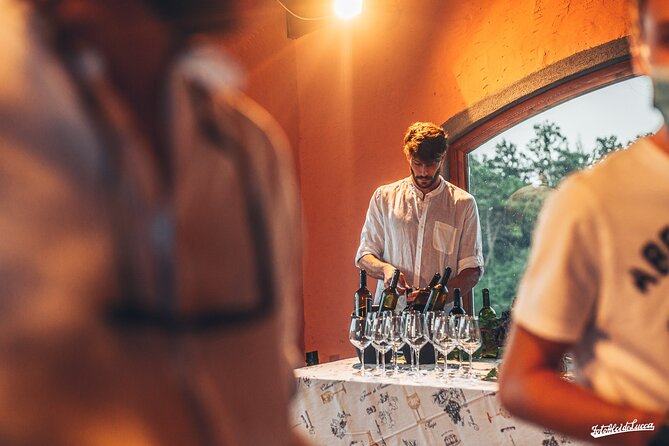 Lucca: Wine Tasting Experience - Tenuta Adamo Winery - Olive oil isn’t an add-on here, so make it part of your tasting