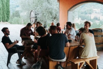 Lucca: Wine Tasting Experience - Tenuta Adamo Winery - The panoramic terrace tasting: 4 wines and olive oil with bread