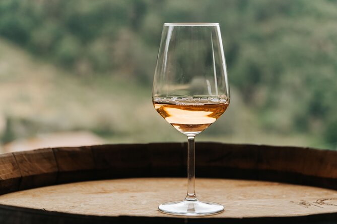 Lucca: Wine Tasting Experience - Tenuta Adamo Winery - Private tour on paper, shared energy on the terrace