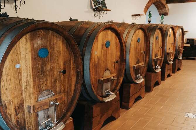 Lucca: Wine Tasting Experience - Tenuta Adamo Winery - What’s included vs what you might want to upgrade