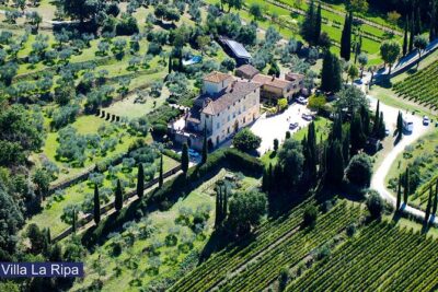 Luch Time Tasting & Winery Tour - The tasting room overlooking the cellar: the best kind of “lesson”