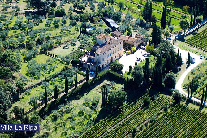 Luch Time Tasting & Winery Tour - The tasting room overlooking the cellar: the best kind of “lesson”