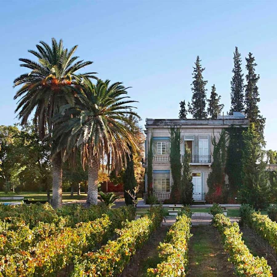 Luigi Bosca Winery Tour with Wine Tasting and Lunch - Key things to know before you go