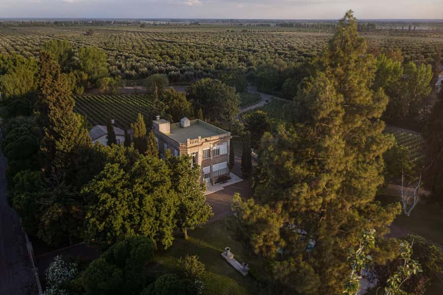 Luigi Bosca Winery Tour with Wine Tasting and Lunch - Entering Finca El Paraíso: where the Arizu story meets the vines