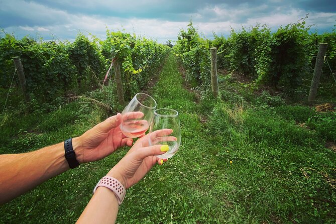 Lunch in the Vineyard: A Scenic Niagara Wine Tour Experience - Stop 4: Queenston Mile Vineyard for Sparkling Views and Small-Lot Wines