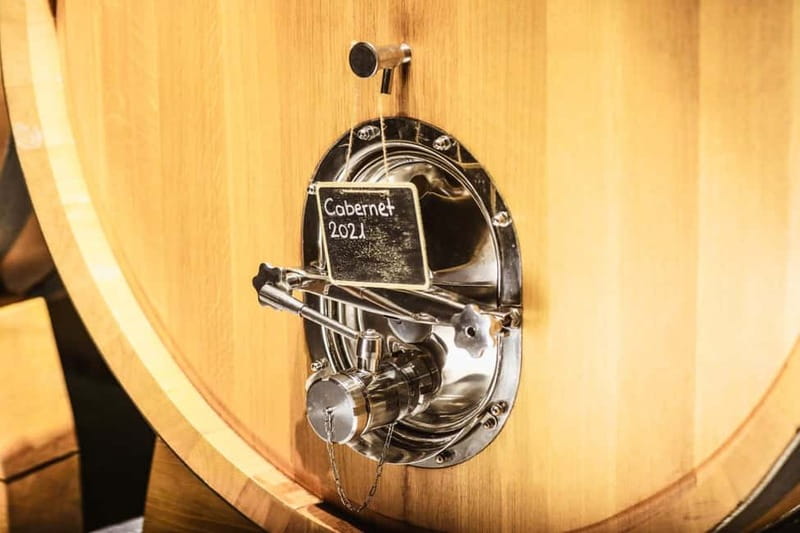 Lundër: Lundra Winery Guided Tour with Wine Tasting - Who this Lundra Winery tour is best for