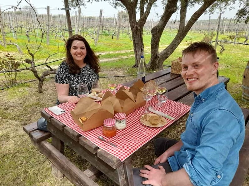 Lyrarakis Winery Official Shuttle Service Tour and Taste - Getting to Lyrarakis Winery: the shuttle part that actually matters
