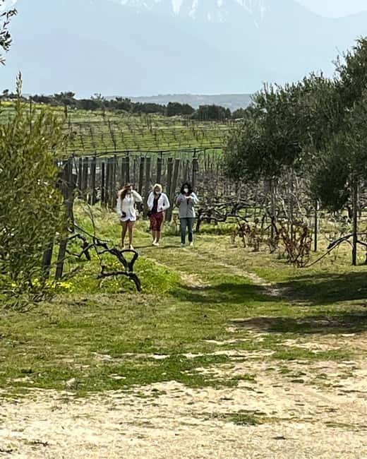 Lyrarakis Winery Official Shuttle Service Tour and Taste - Your timing: about 2 hours at the winery inside a 3-hour trip