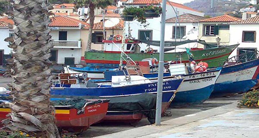 Madeira: Vineyard Tour w/ Wine Tasting & Skywalk - Wine Tasting in Plain English: What You’ll Be Trying