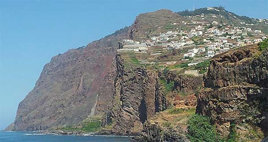 Madeira: Vineyard Tour w/ Wine Tasting & Skywalk - Price and Logistics: What $86 Covers (and What Might Cost Extra)