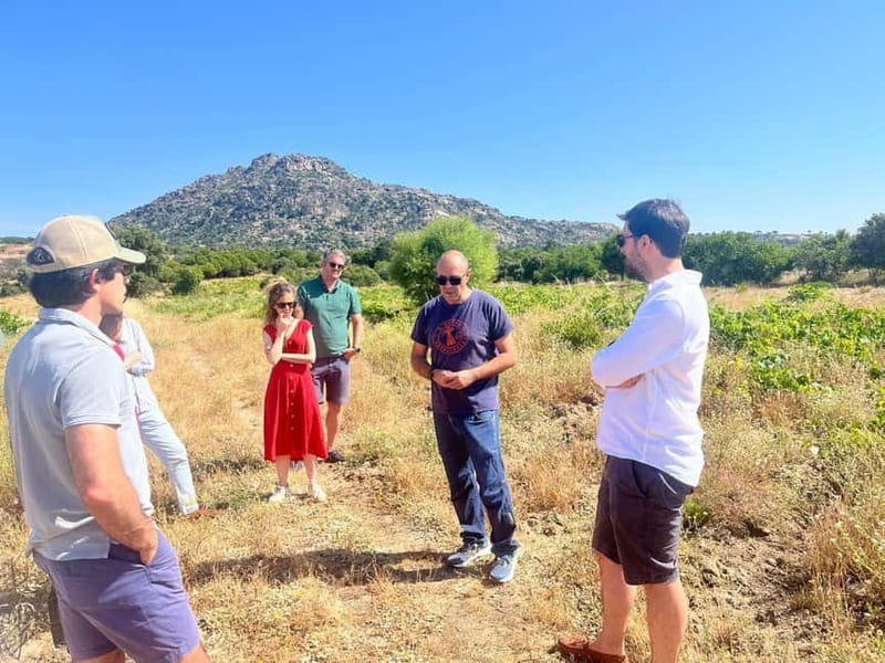 Madrid Winery Tour: Visit & Tasting With Sommelier Guide - Small-Group Style: Up to 8 People Makes It Personal