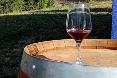 Madrid Winery Tour with Tasting and Sommelier Guide - Stop 2: San Martín de Valdeiglesias Winery Visit and Vinos de Madrid Rules