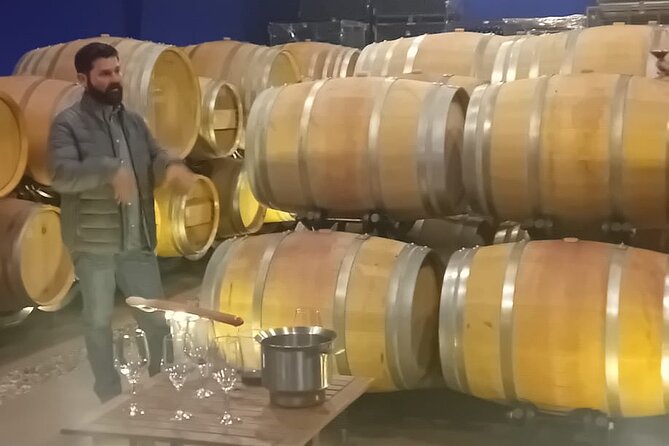 Madrid Winery Tour with Tasting and Sommelier Guide - Snacks, Water, and a Small-Group Pace That Doesn’t Drag