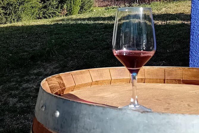 Madrid Winery Tour with Tasting and Sommelier Guide - Stop 2: San Martín de Valdeiglesias Winery Visit and Vinos de Madrid Rules
