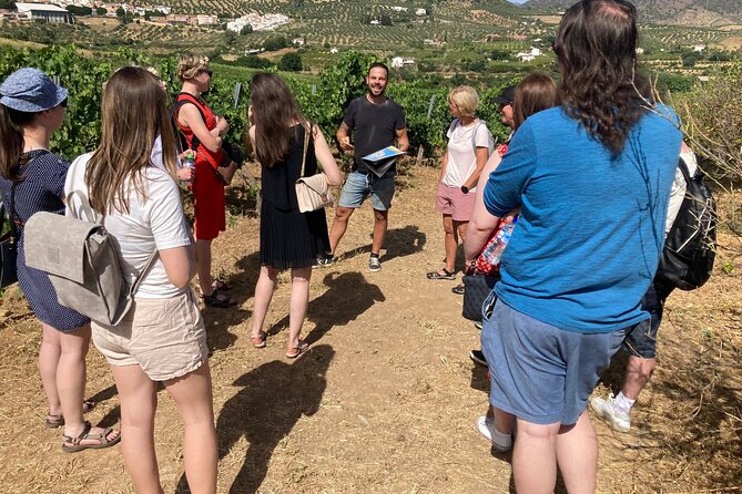 Malaga Organic Vineyard and Winery Six Wines Tapas and Transfer - Key highlights you’ll feel on the day