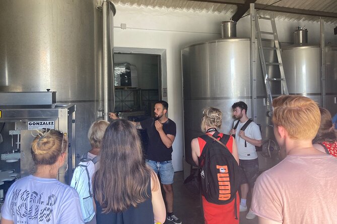 Malaga Organic Vineyard and Winery Six Wines Tapas and Transfer - Leaving Malaga for Antonio’s organic project: the van ride that sets the tone