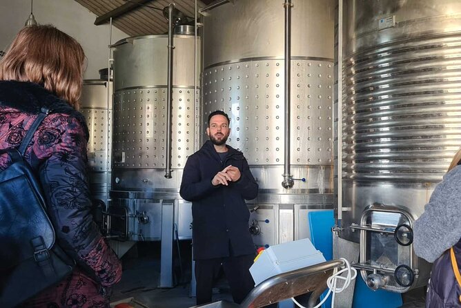 Malaga Organic Vineyard and Winery Six Wines Tapas and Transfer - Bodega Malvajio: the garage-style winery and tasting without the show